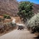 Guests in Razor sport vehicles stopped on a dirt road next to a vineyard